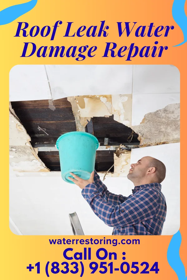 Roof Leak Water Damage Repair in Matthews, IN
