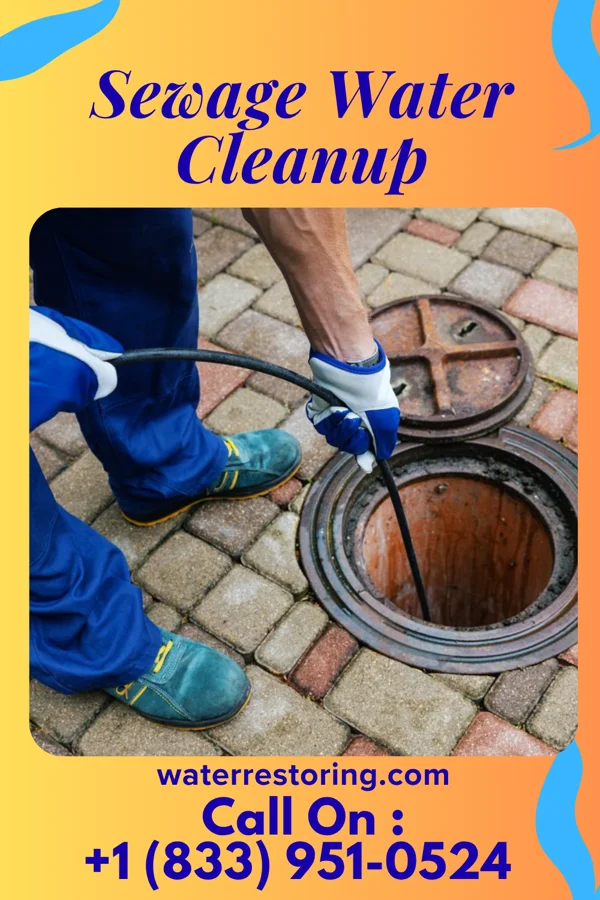 Sewage Water Cleanup in Matthews, IN
